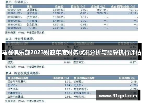 马赛俱乐部2023财政年度财务状况分析与预算执行评估